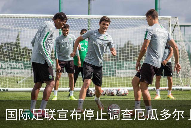 国际足联宣布停止调查厄瓜多尔 且不做任何处罚